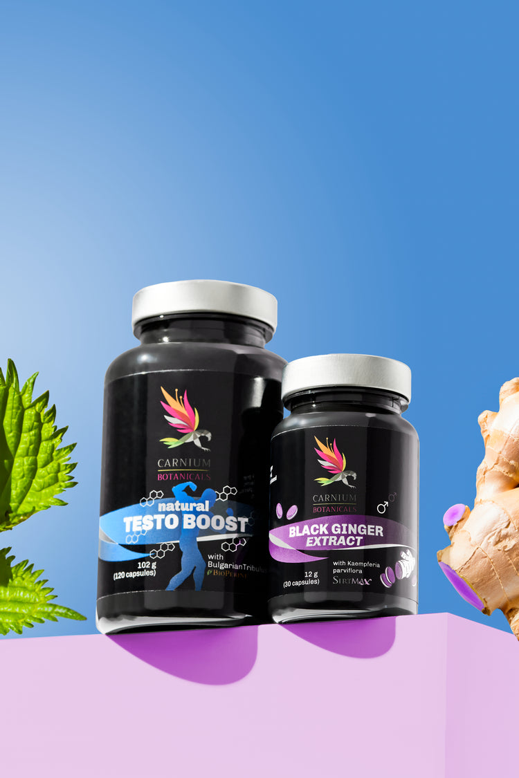 Paket "Mehr Kraft und Ausdauer": Natural Testo Boost + Black Ginger -10%