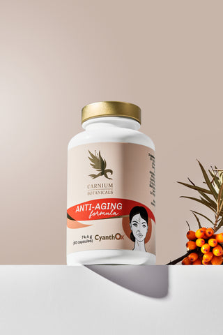 Anti-Aging Formula 90 Kapseln